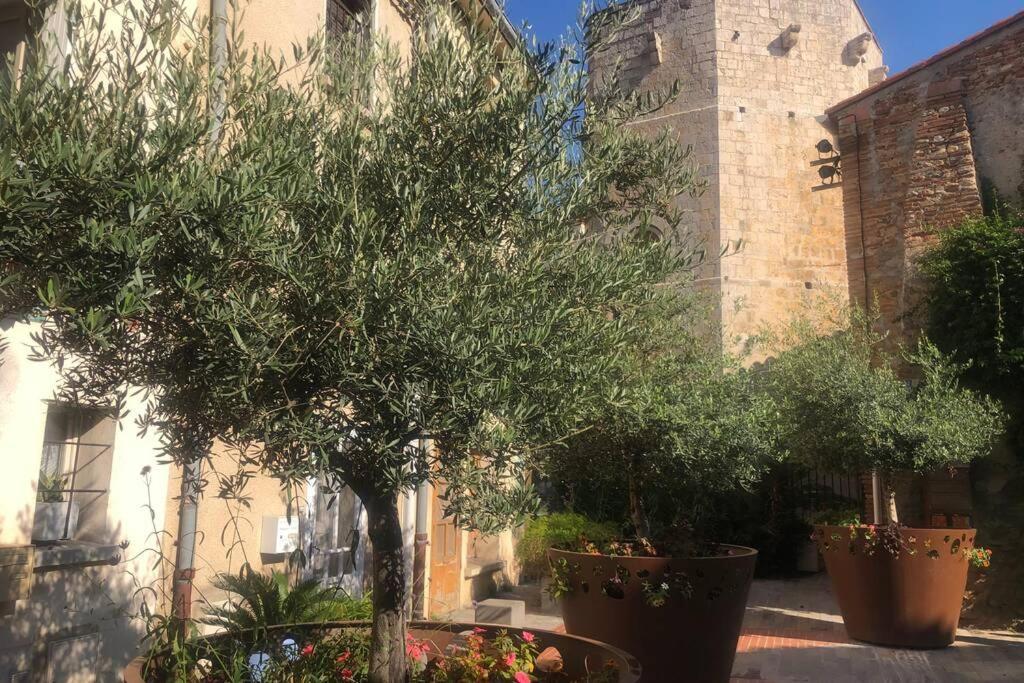 Villa Carrer Del Sol à Sainte-Marie-la-Mer Extérieur photo